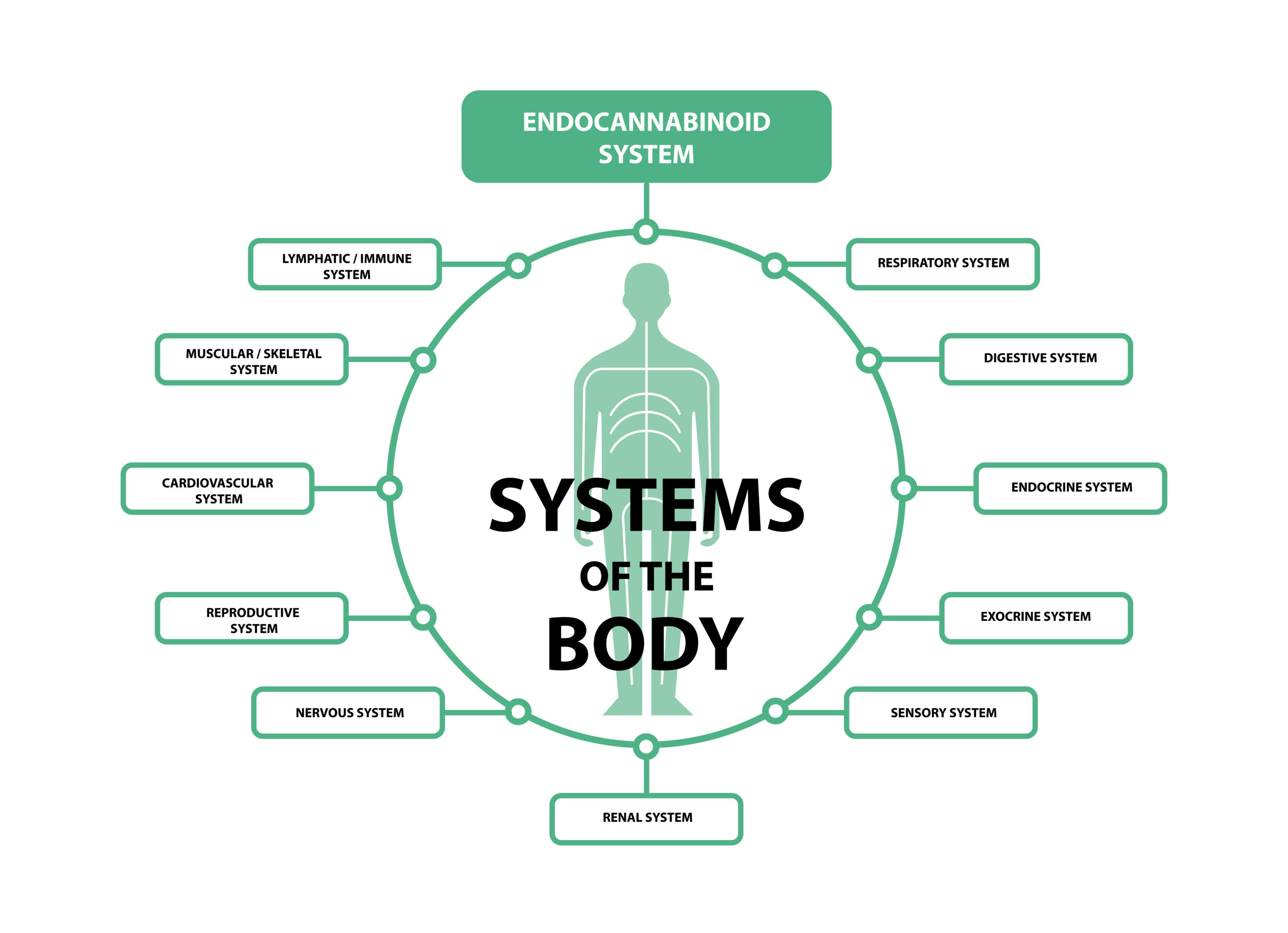 Botanic Biosciences endocannabinoid system