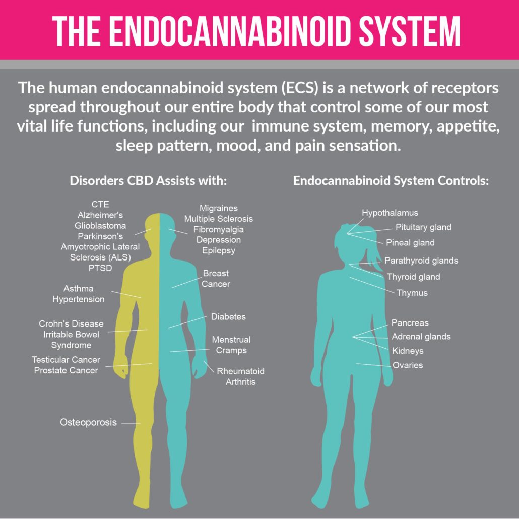 Botanic Biosciences human endocannabinoid system