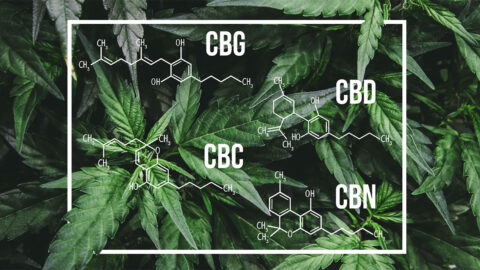 cannaglobe-cbd-cbg-cbn-cbc-molecular-structures-hemp-cannabis