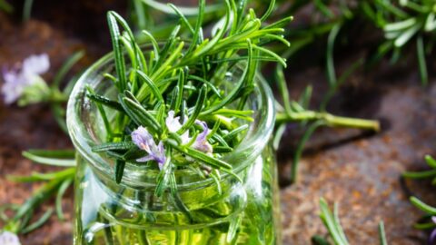 Botanic Biosciences Key Cannabis Terpenes Carene