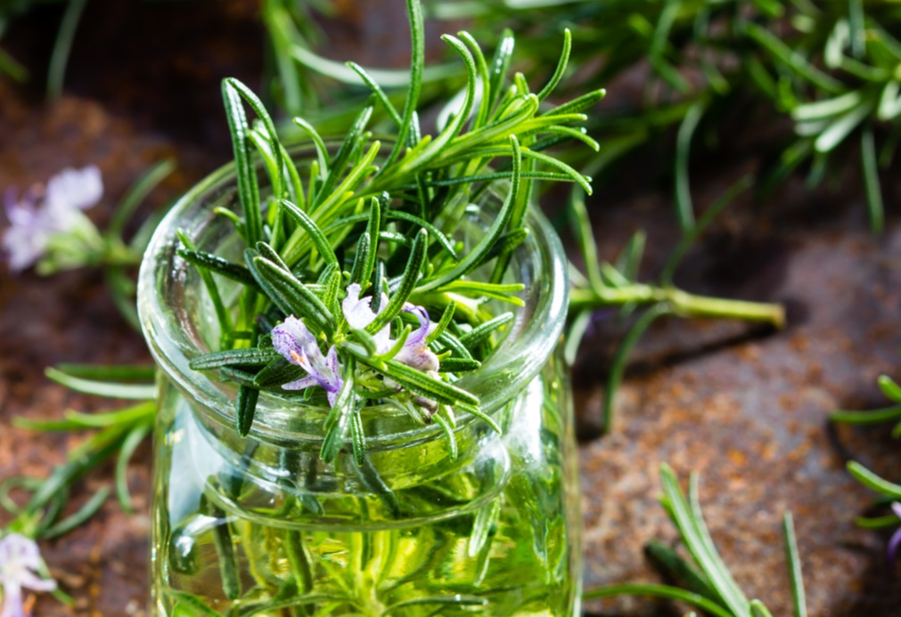 Botanic Biosciences Key Cannabis Terpenes Carene