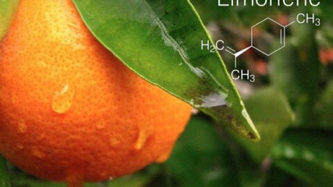 Botanic Biosciences Key Cannabis Terpenes Limonene