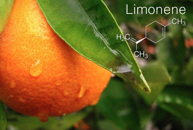 CannaGlobe Key Cannabis Terpenes Limonene