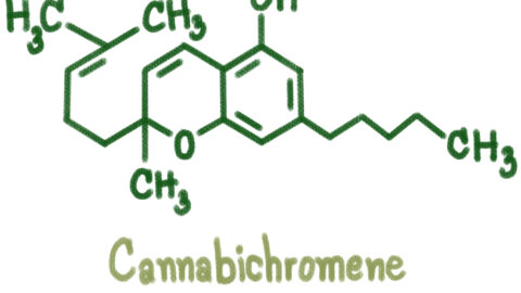 Cannabichromene CBC Cannabinoid